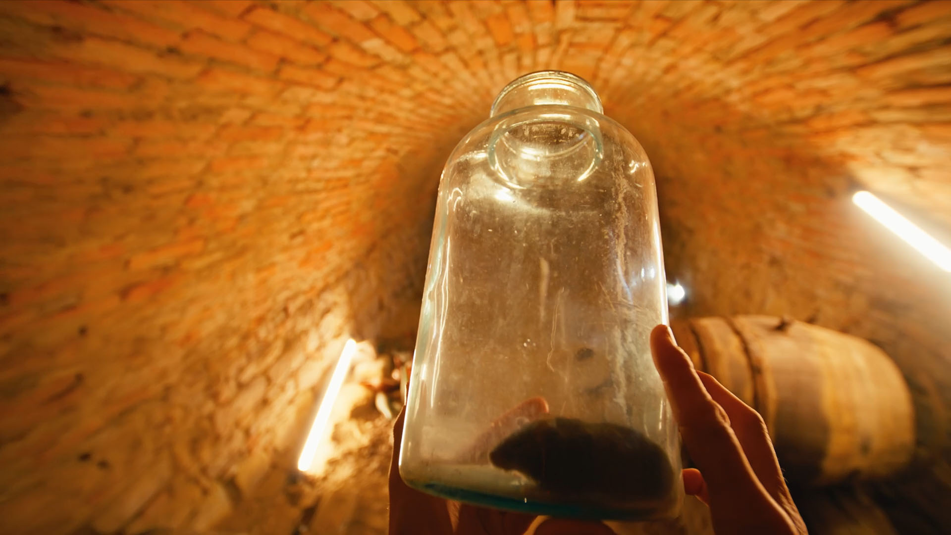 Solvente